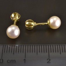 Ohrringe mit Süßwasserzuchtperle-Gold585